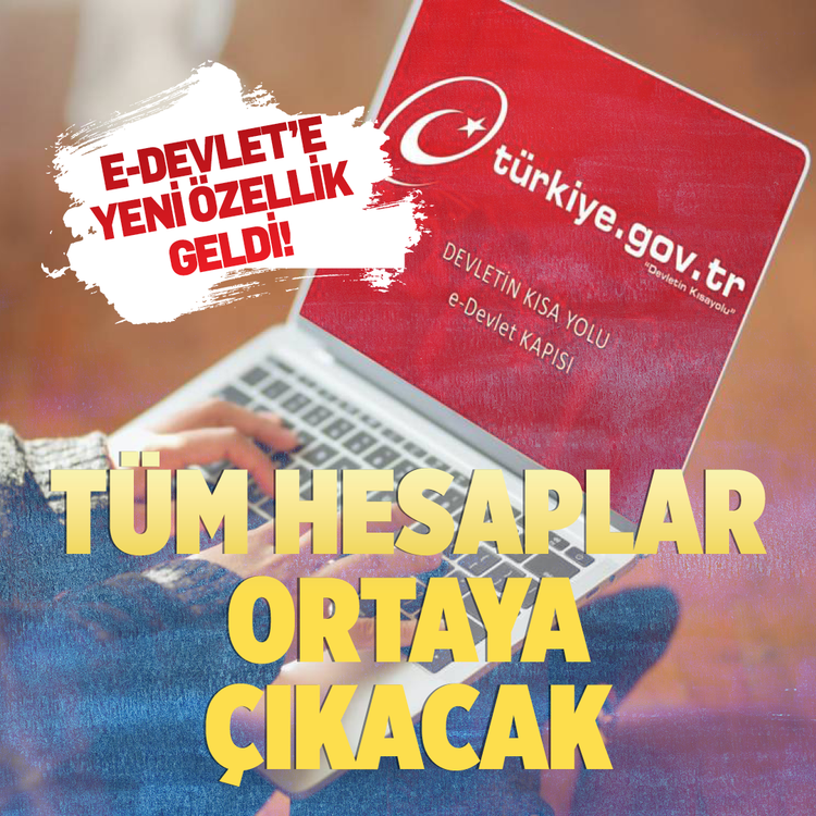 e-Devlet'e yeni özellik geldi! Tüm hesaplar ortaya çıkacak