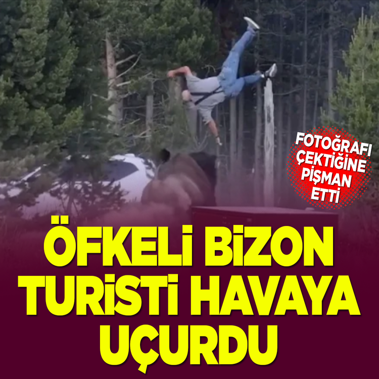 Yellowstone'da dehşet! Öfkeli bizon turisti metrelerce havaya fırlattı