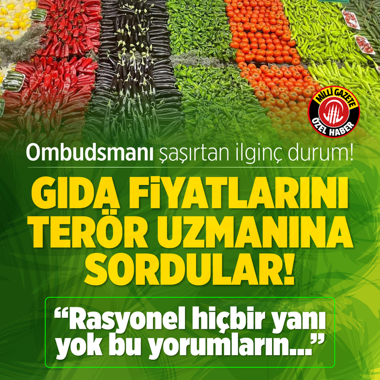 Ombudsmanı şaşırtan ilginç durum! Gıda fiyatlarını terör uzmanına sordular! “Rasyonel hiçbir yanı yok bu yorumların…”