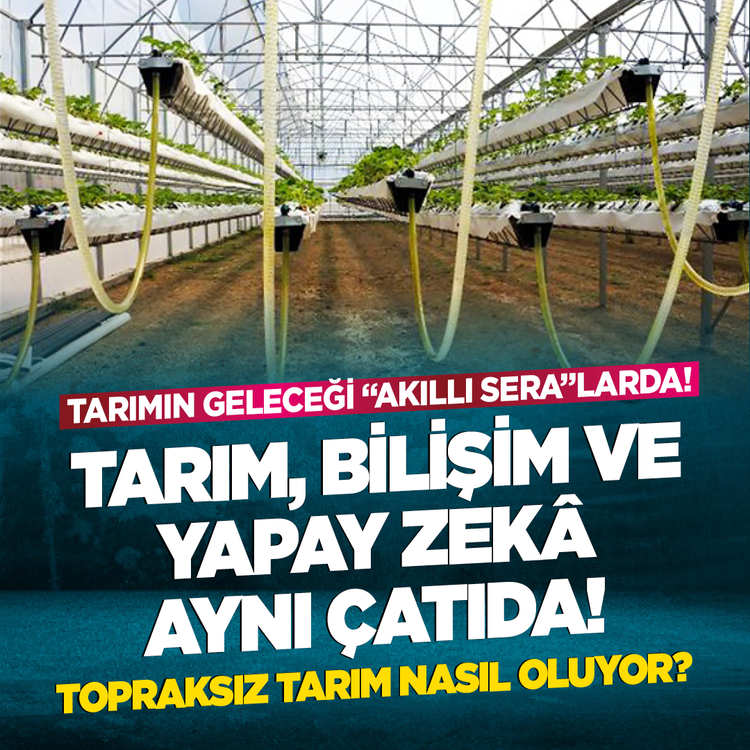 Tarımın geleceği “Akıllı Sera”larda! Tarım, bilişim ve yapay zekâ aynı çatıda! Topraksız tarım nasıl oluyor?