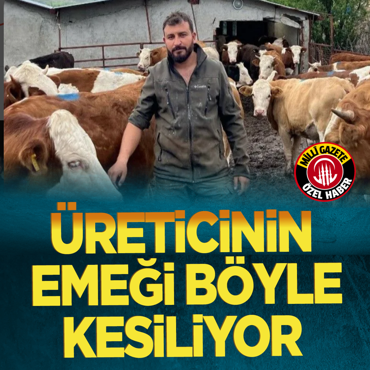 Üreticinin emeği böyle kesiliyor