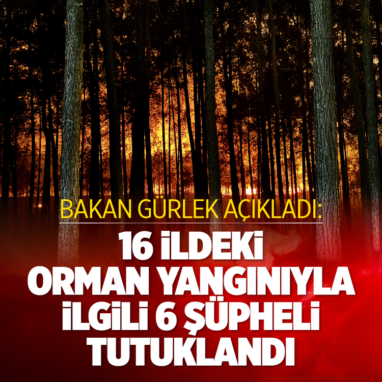 Bakan Gürlek açıkladı: 16 ildeki orman yangınıyla ilgili 6 şüpheli tutuklandı