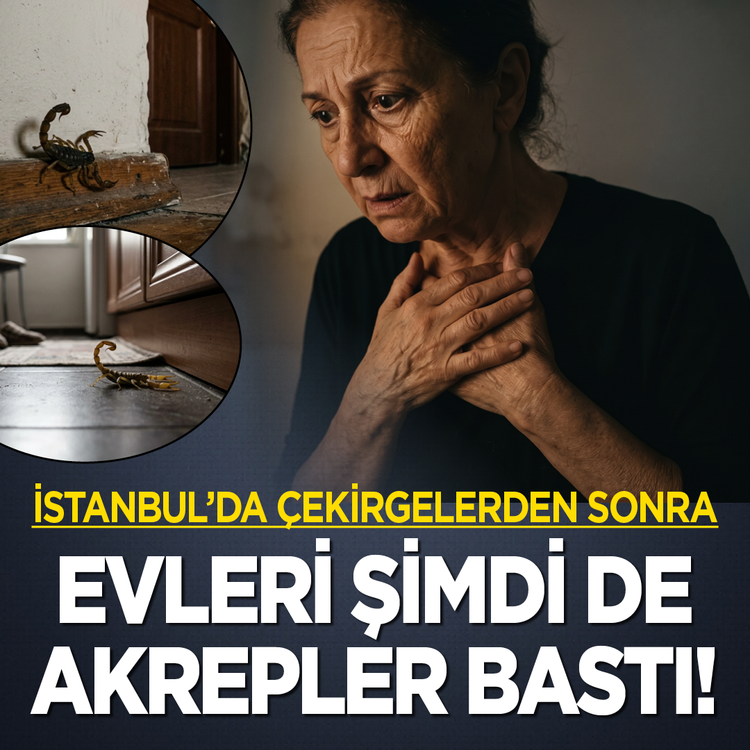 İstanbul'da çekirgelerden sonra evleri şimdi de akrepler bastı!