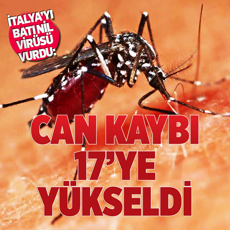 İtalya'yı Batı Nil virüsü vurdu: Can kaybı 17'ye yükseldi