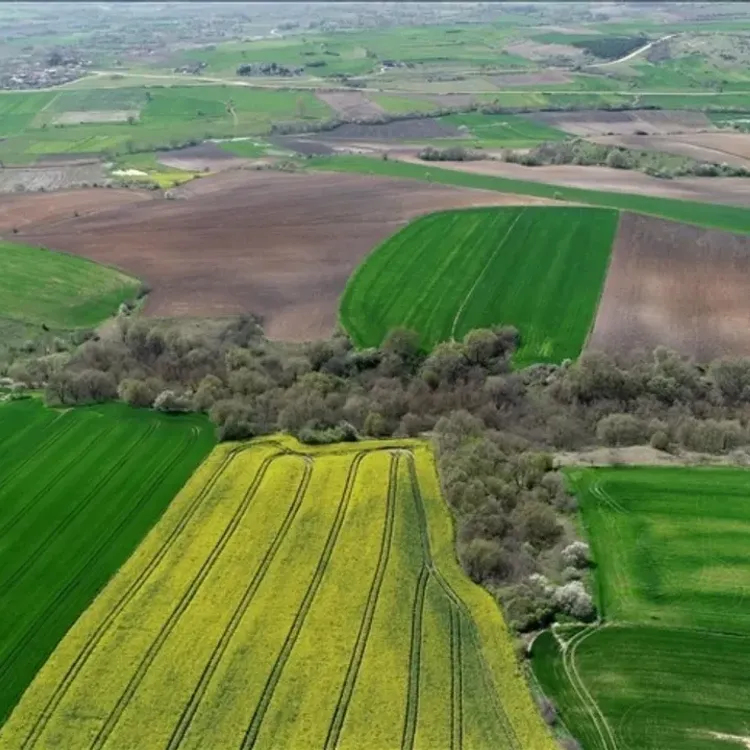Arsa almak isteyenler dikkat! Milli Emlak 590 taşınmazı ihaleye çıkarıyor