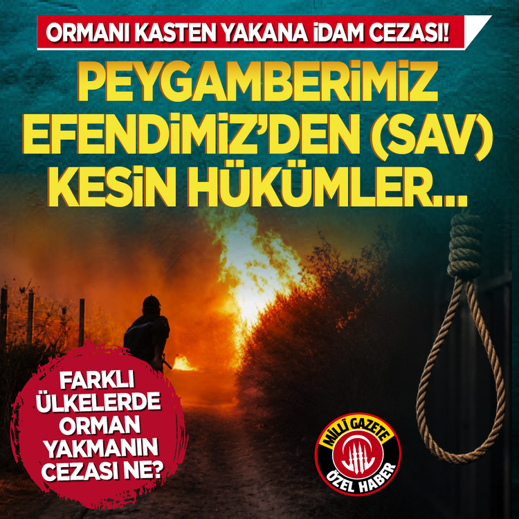 Ormanı kasten yakana idam cezası! Farklı ülkelerde orman yakmanın cezası ne?