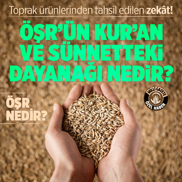 Toprak Ürünlerinden Tahsil Edilen Zekât! Öşr’ün Kur’an ve sünnetteki dayanağı nedir? Öşr nedir?