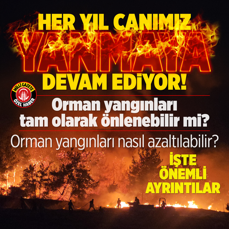 Her yıl canımız yanmaya devam ediyor! Orman yangınları tam olarak önlenebilir mi? Orman yangınları nasıl azaltılabilir?