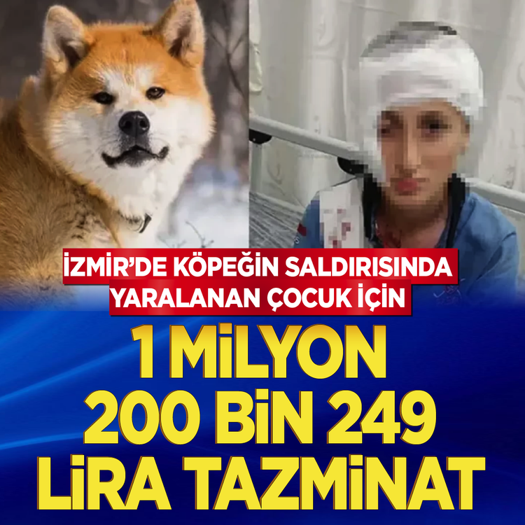 İzmir'deki köpek saldırısı davasında emsal karar: Hayvan sahibine 1,2 milyon TL tazminat şoku!