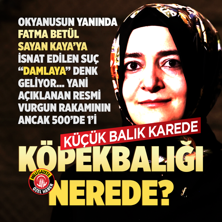 Okyanusun yanında Fatma Betül Sayan Kaya’ya isnat edilen suç "damlaya" denk geliyor… Yani açıklanan resmi vurgun rakamının ancak 500’de 1’i... Küçük balık karede köpekbalığı  nerede?