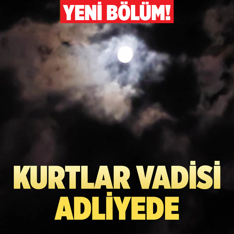Yeni bölüm! Kurtlar Vadisi Adliyede