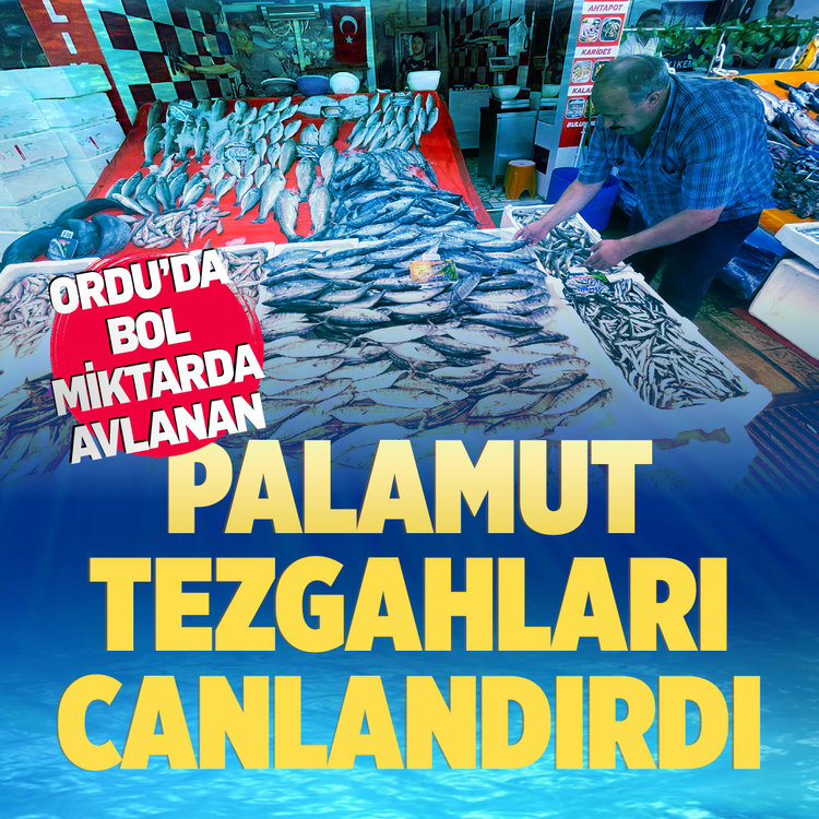 Ordu'da bol miktarda avlanan palamut tezgahları canlandırdı