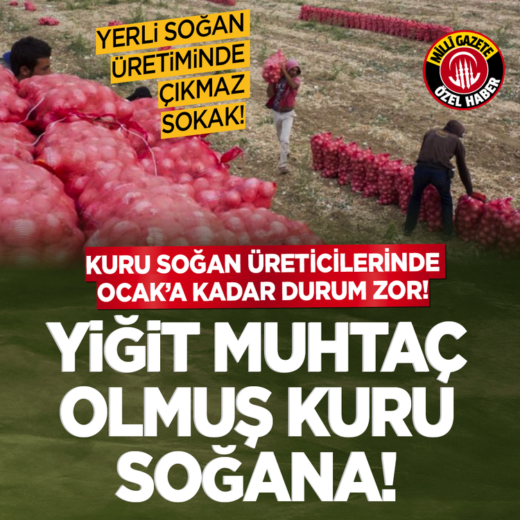 Yerli soğan üretiminde çıkmaz sokak! Kuru soğan üreticilerinde Ocak'a kadar durum zor! Yiğit muhtaç olmuş kuru soğana!