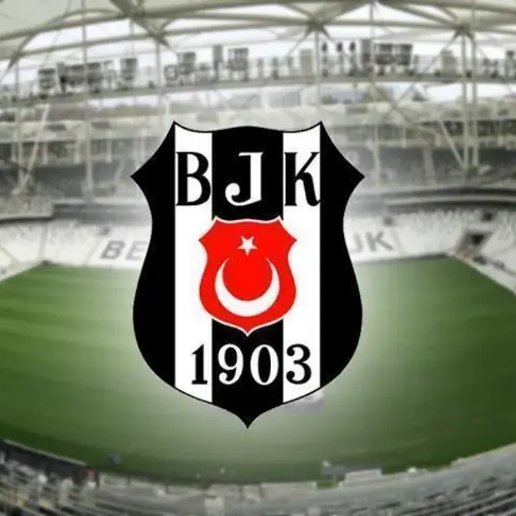 Beşiktaş deplasmanda Hoffenheim’ı devirdi!