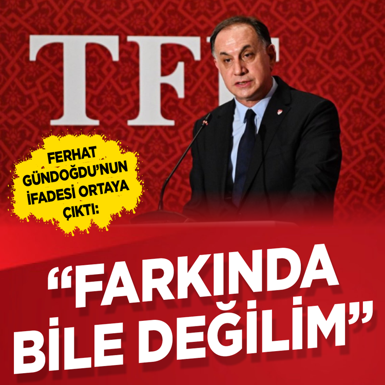 Ferhat Gündoğdu'nun ifadesi ortaya çıktı: "Farkında bile değilim"