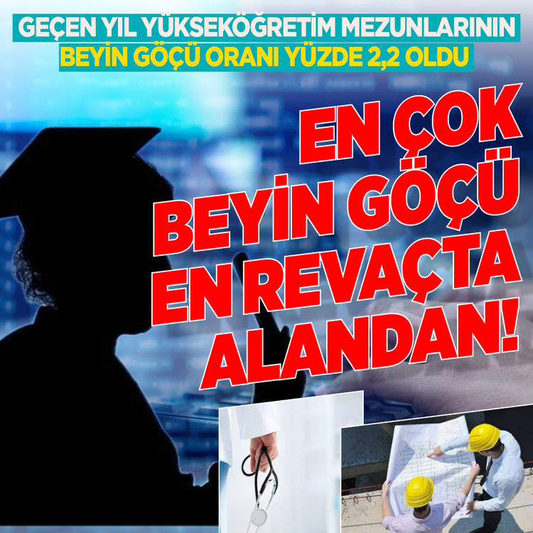 Geçen yıl yükseköğretim mezunlarının beyin göçü oranı yüzde 2,2 oldu: En çok beyin göçü  en revaçta alandan!