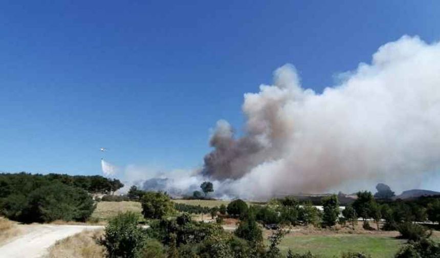 Çanakkale’de bir orman yangını daha