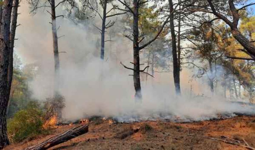 Manavgat’ta aynı saatlerde dört ayrı noktada orman yangını