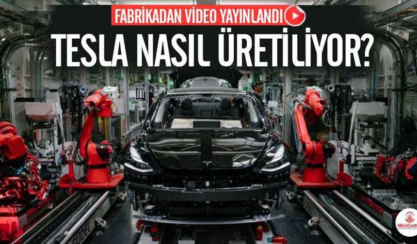 Elon Musk Tesla'yı nasıl üretiyor? İnanılmaz görüntüler