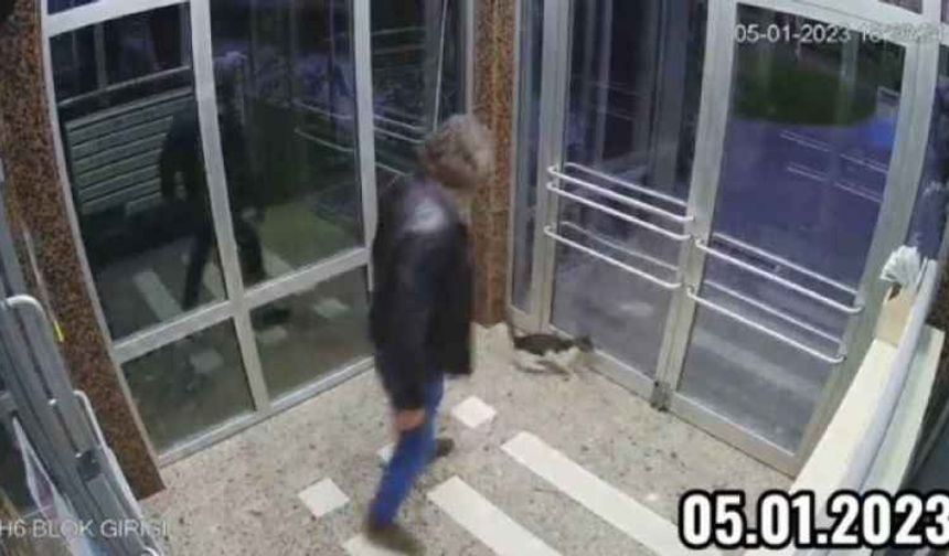 Binaya kapattığı kediyi tekmeleyerek dövdü