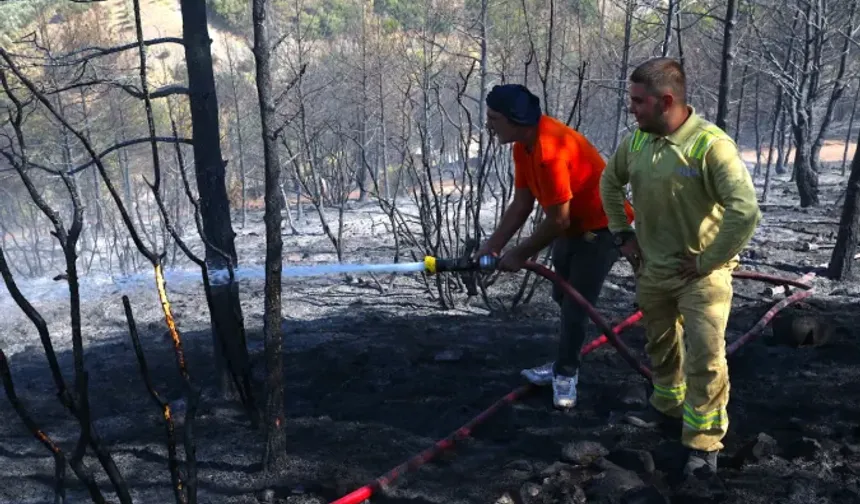 Hatay'da orman yangını! Güçlükle kontrol altına alındı