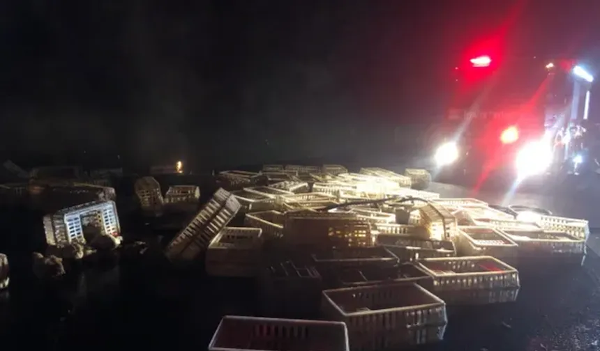 Kamyonda çıkan yangında 150 tavuk telef oldu