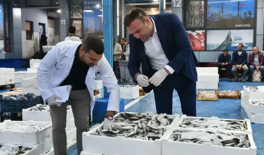 ABB, Balık Hali'nde günlük kontrollerine başladı