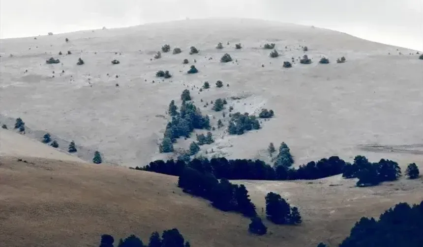 Doğu Karadeniz’in yüksek kesimleri beyaza büründü