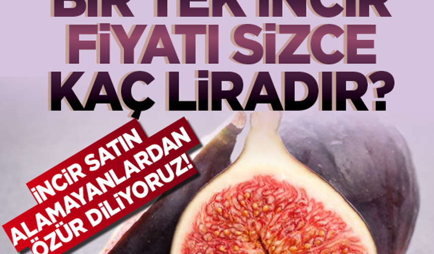 Bu bir 'durumumuz ve farkındalık' haberidir! Bir tek incir fiyatı sizce kaç liradır? İncir satın alamayanlardan özür diliyoruz!