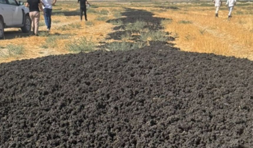 GPS ele verdi! 26 kamyon çamur dökene rekor ceza