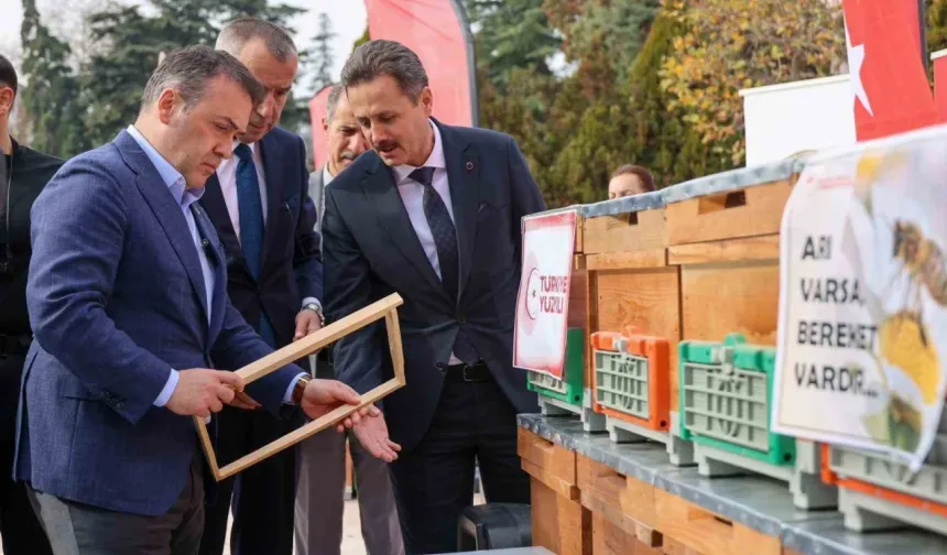 Bilecik arıcılıkta üs oluyor: Bin yeni kovan dağıtıldı, hedef 30 bin koloni!