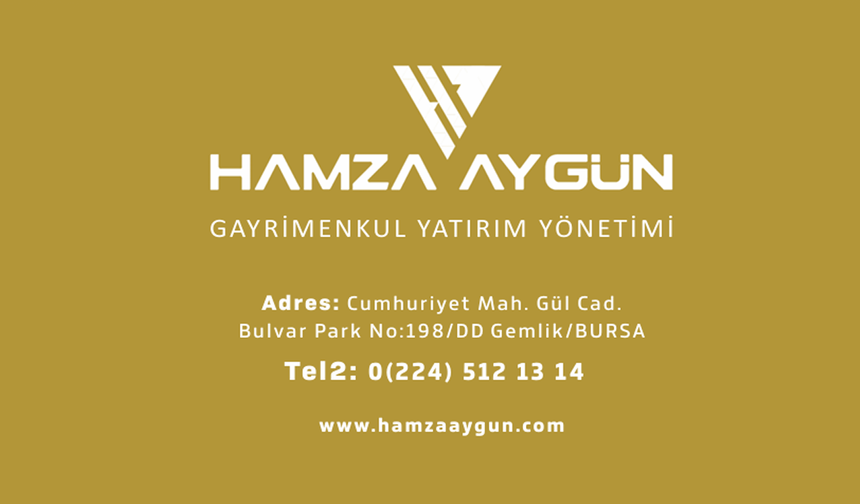Hamza Aygün