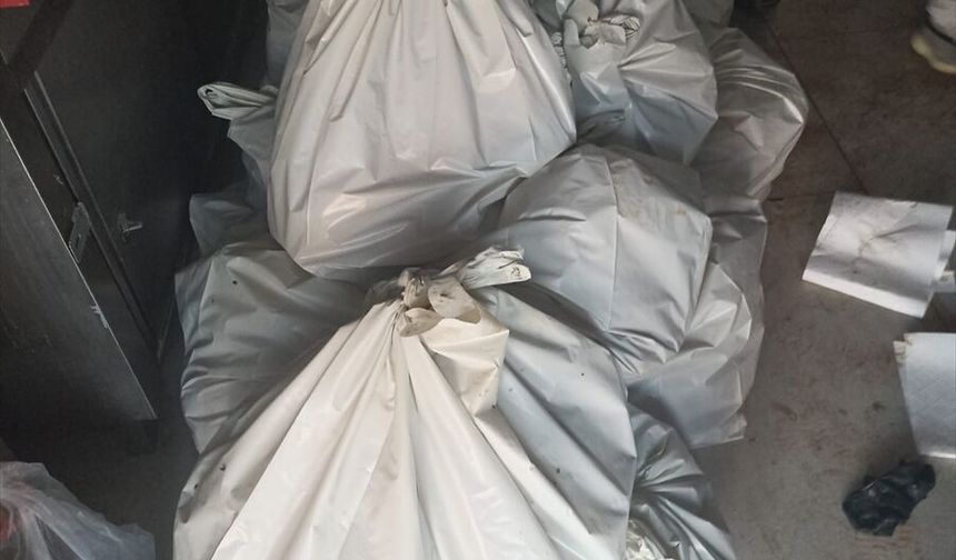 Bodrum'da mide bulandıran olay: 400 kilo bozuk et