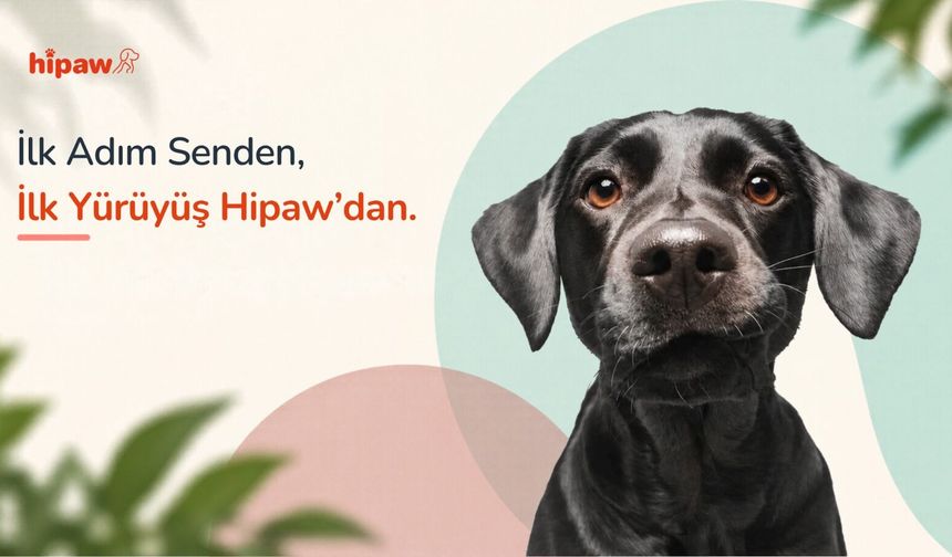 Hipaw, evcil hayvan bakımında doğrulama süreçlerini dijital hizmet modeline taşıyor