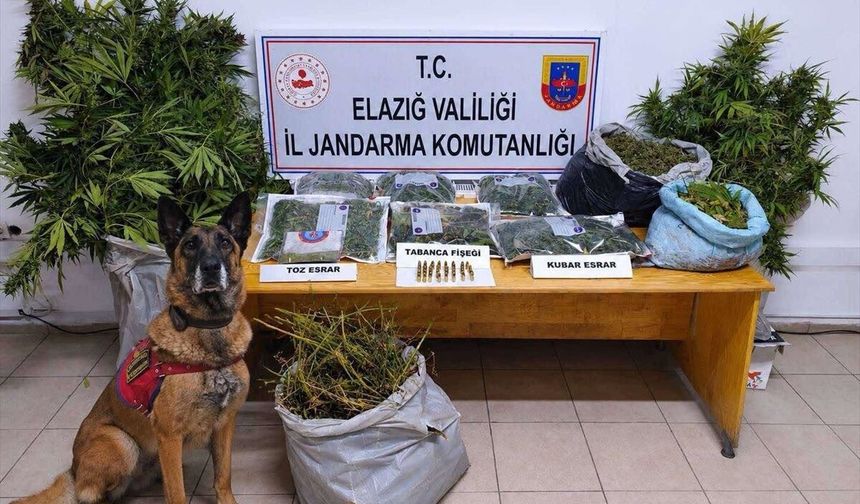 Elazığ'da uyuşturucu operasyonunda 3 şüpheli tutuklandı