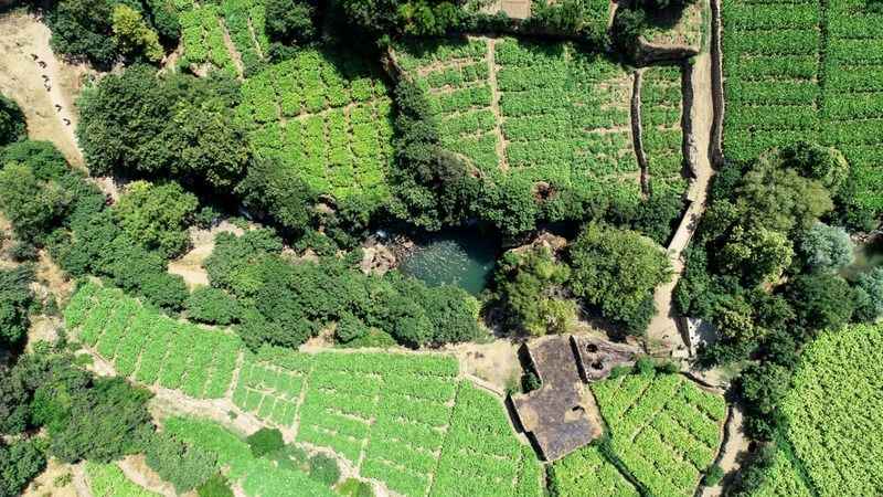 Tarihi evleri ile bilinen Mardin'de saklı bir güzellik: Ğurs Vadisi