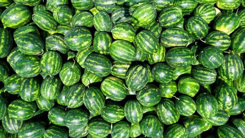 Adana'da karpuz fiyatları yarıya düştü: Kilogram fiyatı 12 TL'den 7 TL'ye geriledi!-1