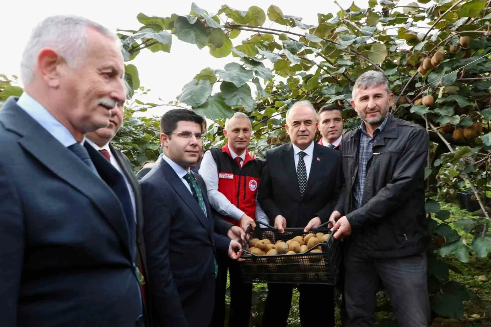 520 Milyon Tl’lik Dev Katkı Ordu’da Fındıktan Sonra Kivi Hasadı Başladı!-1