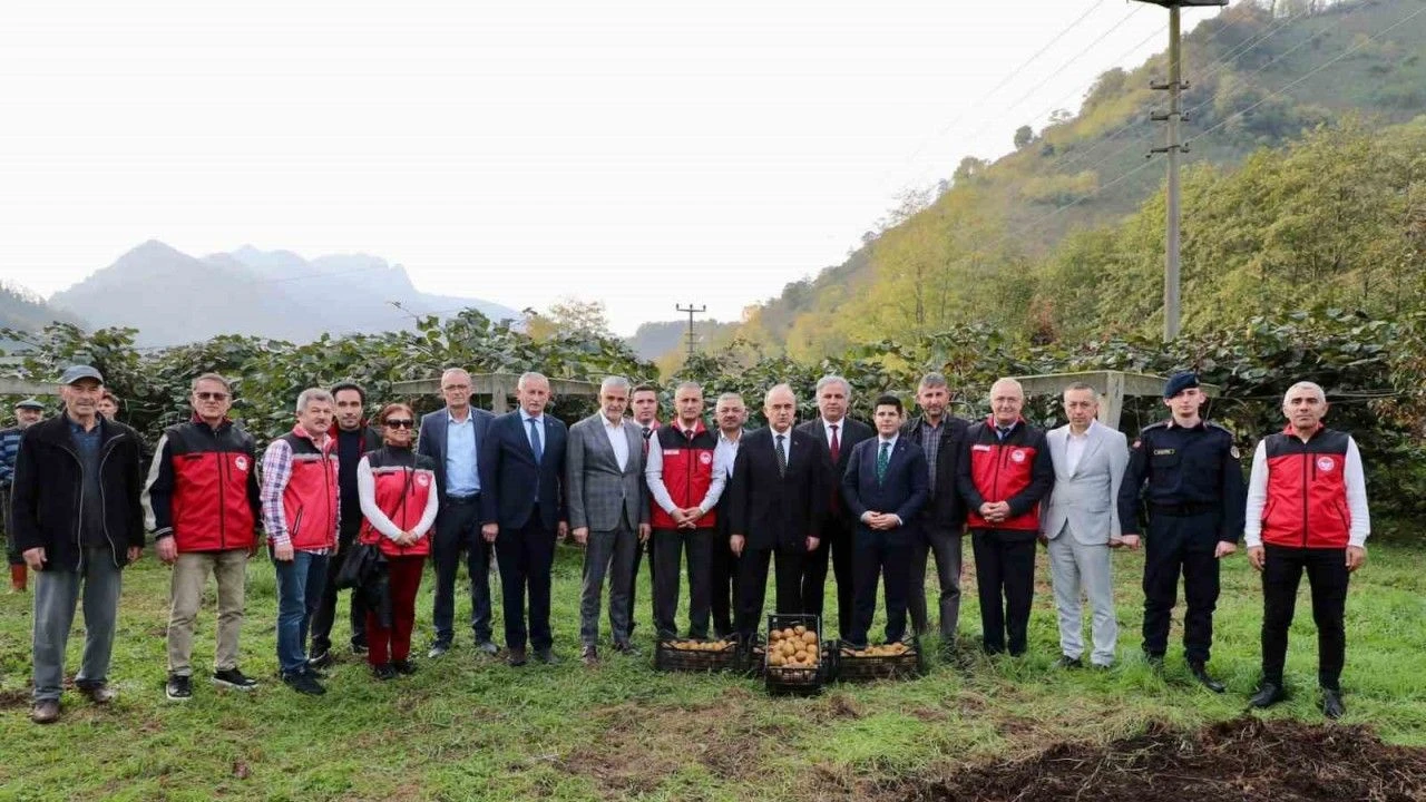 520 Milyon Tl’lik Dev Katkı Ordu’da Fındıktan Sonra Kivi Hasadı Başladı!T