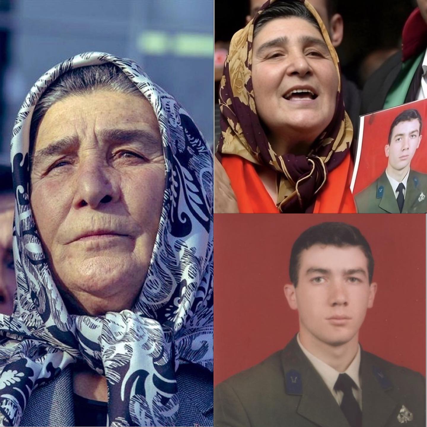 581098609 17885588610400065 6137372859227369127 N