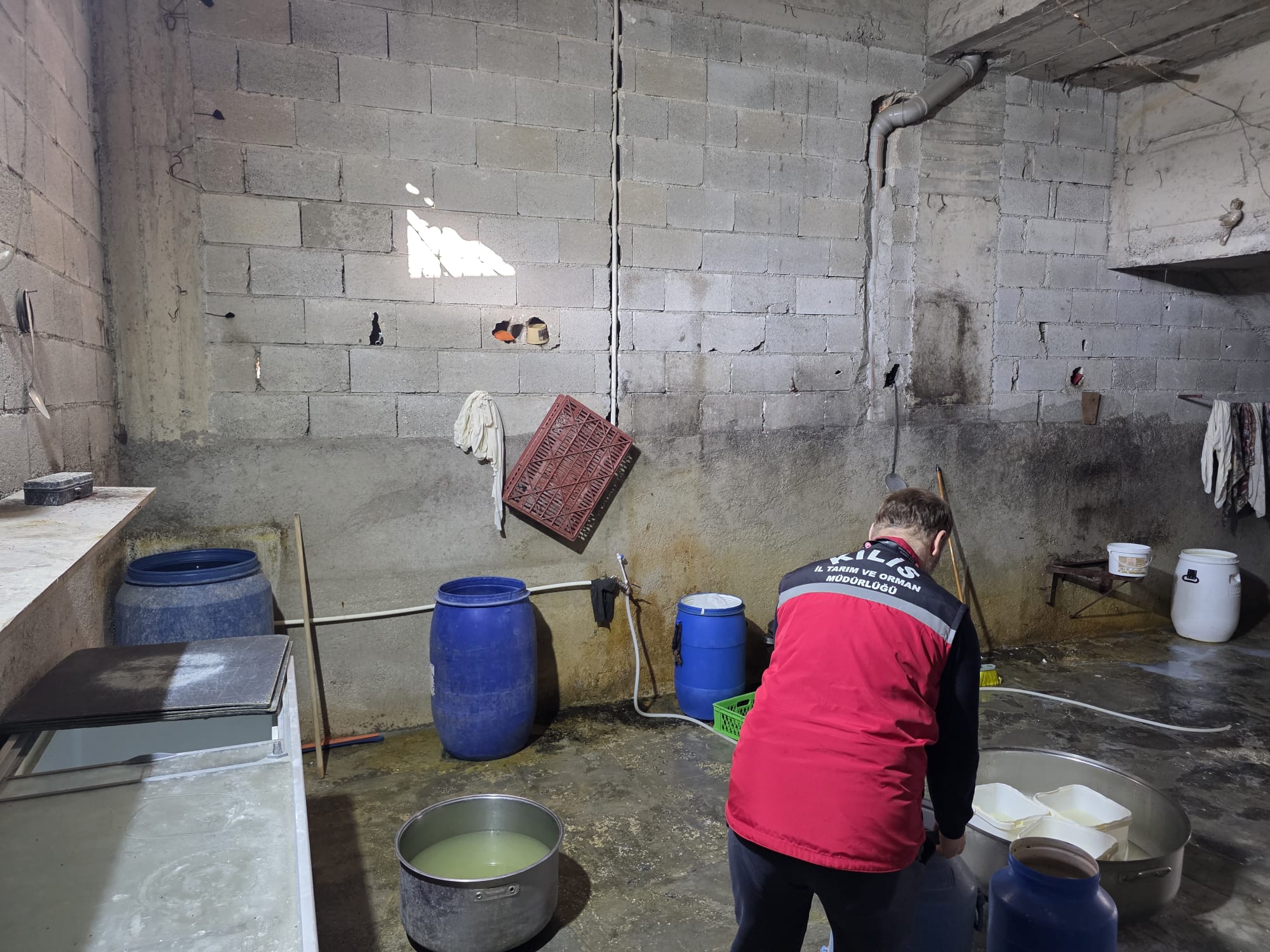 A A 20251122 39776392 39776387 K I L I S T E H I J Y E N K U R A L L A R I N A U Y M A Y A N Y O G U R T V E P E Y N I R I M A L A T H A N E S I K A P A T I L D I