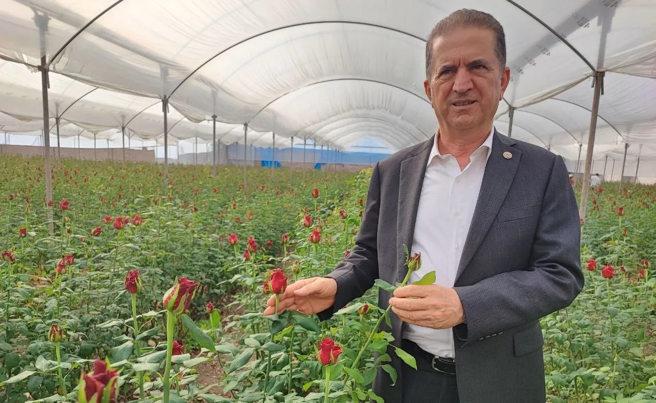 Adana’da Gül Üreticileri Dertli Daldan 10 Tl'ye Çıkan Gül, Çiçekçide 100 Tl!T