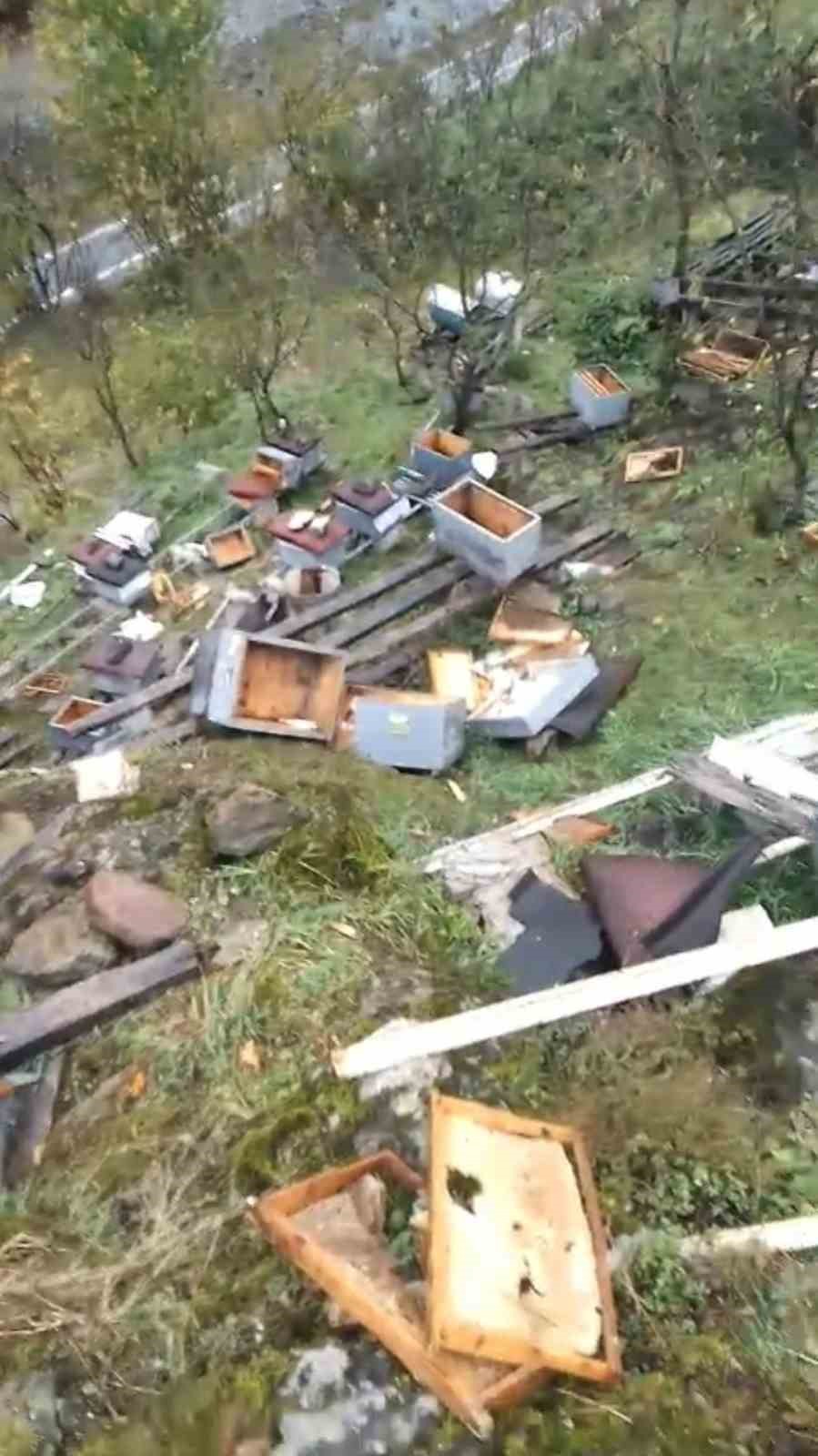 Araklı’da Arı Kovanlarına Ayı Saldırdı 50 Petek Kullanılamaz Hale Geldi!-1