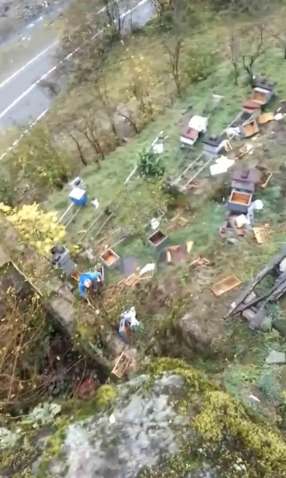 Araklı’da Arı Kovanlarına Ayı Saldırdı 50 Petek Kullanılamaz Hale Geldi!S