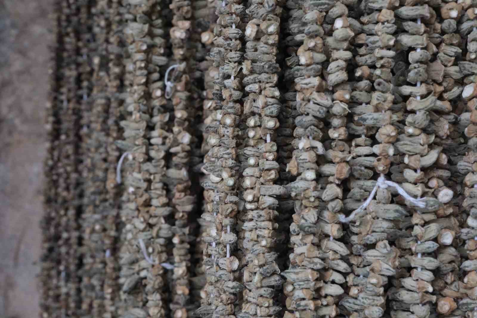 Eklem Ağrılarına Şifa Olan Lezzet Kilosu 2 Bin Tl’ye Dayandı!