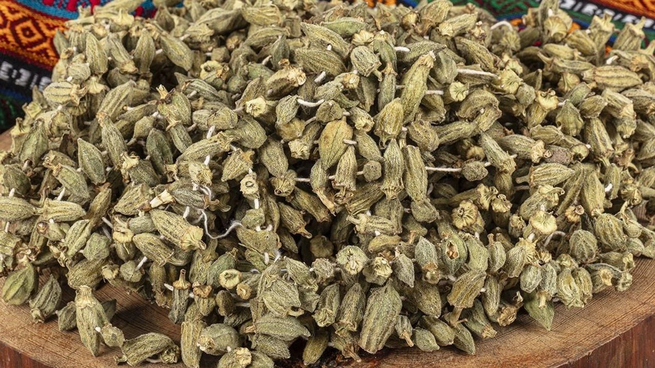 Eklem Ağrılarına Şifa Olan Lezzet Kilosu 2 Bin Tl’ye Dayandı!S