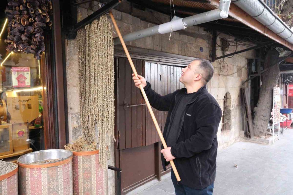 Eklem Ağrılarına Şifa Olan Lezzet Kilosu 2 Bin Tl’ye Dayandı!V