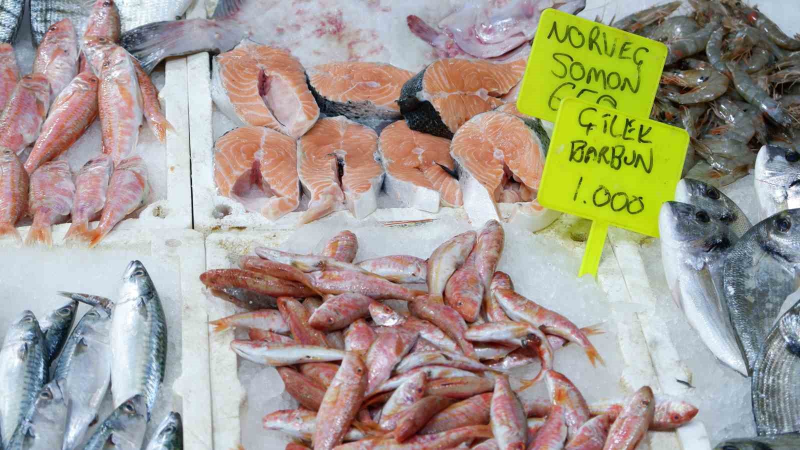 Foça’da Kışın Balık Bereketi Başladı Tezgahlar Taze Ürünlerle Doldu!S