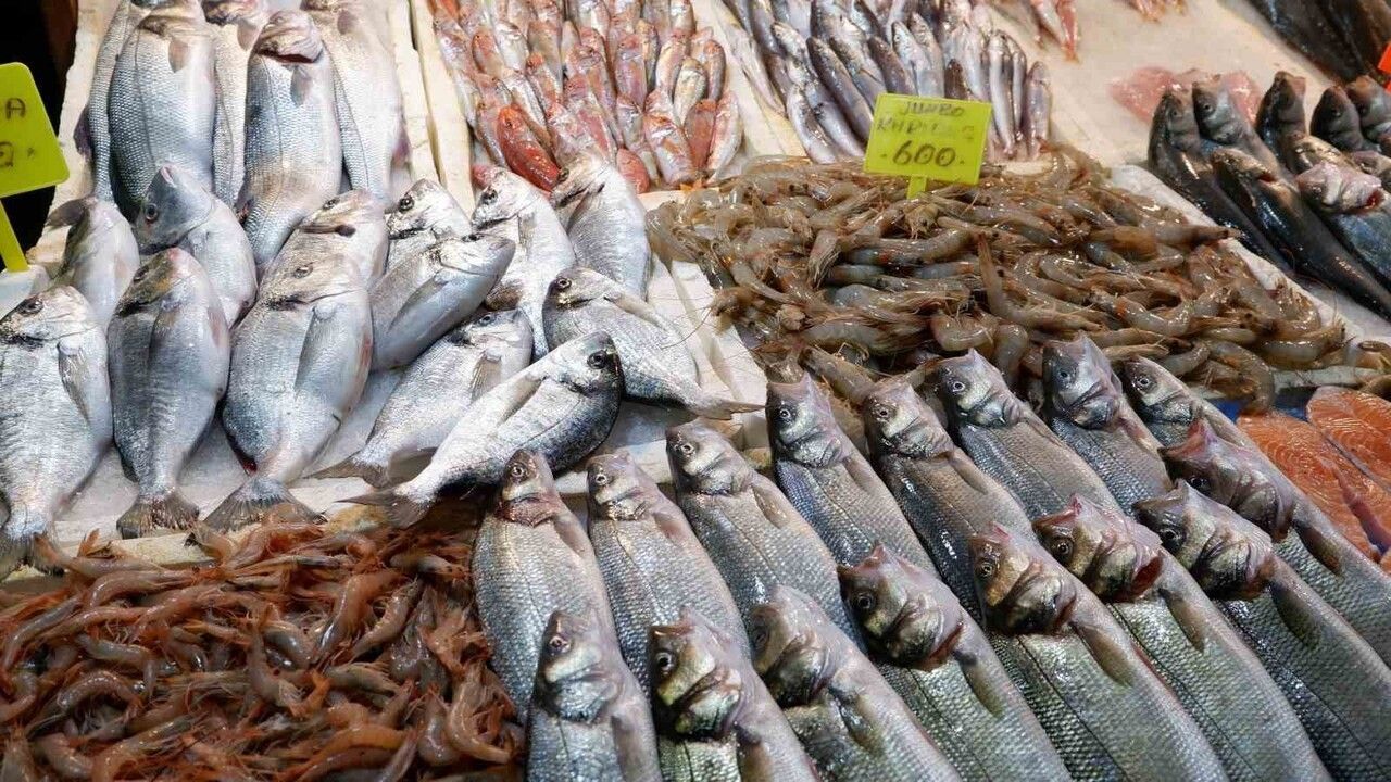 Foça’da Kışın Balık Bereketi Başladı Tezgahlar Taze Ürünlerle Doldu!Z