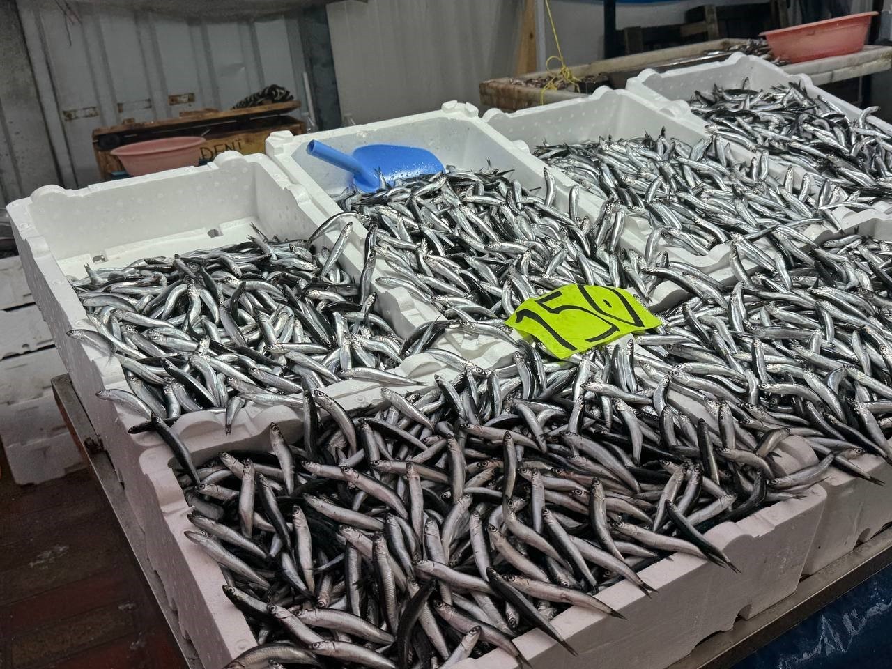 Hamside Veda Zamanı Fiyatlar 150 Tl’ye Dayandı, Tezgahlar Boşalıyor!-1